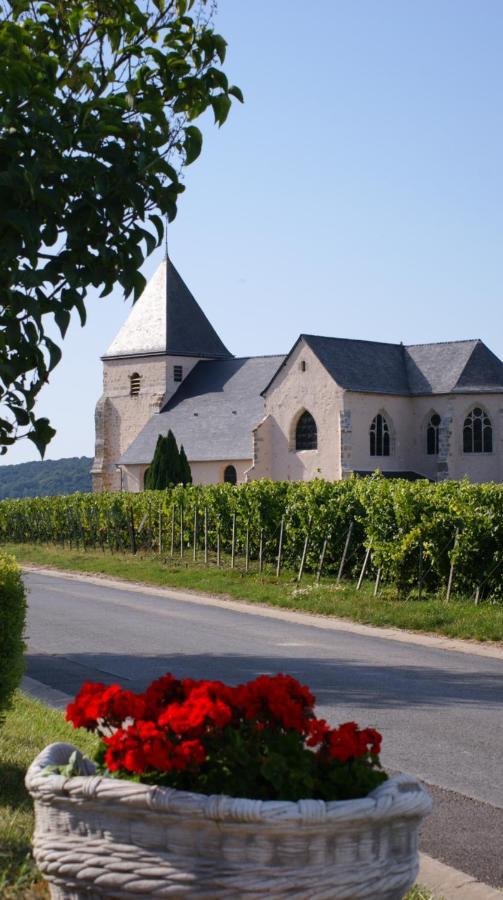 Les Dames-Jeannes Bed & Breakfast Chavot-Courcourt Dış mekan fotoğraf